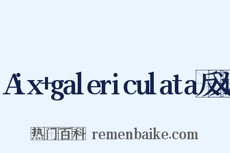Aix+galericulata反义词是什么意思的图片